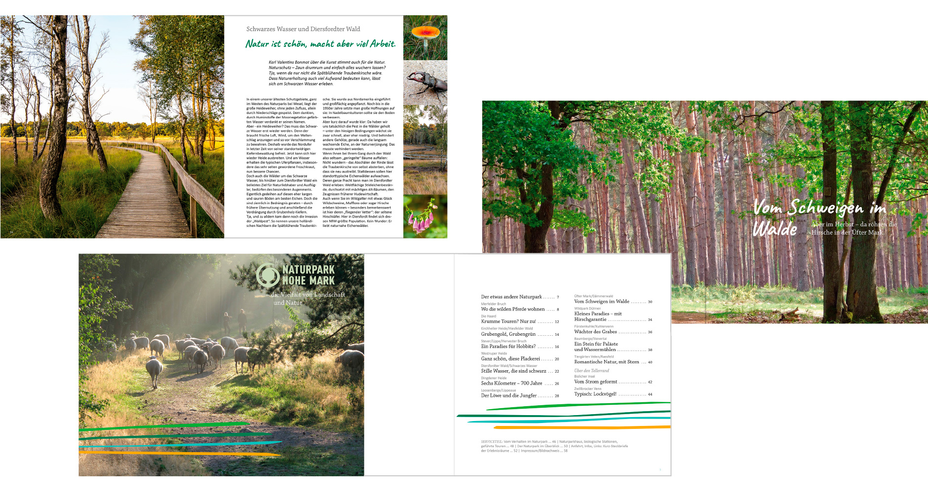 LFS Münster: Printdesign